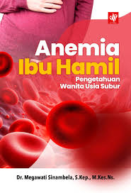 Anemia Ibu Hamil ; Pengetahuan Wanita Usia Subur
