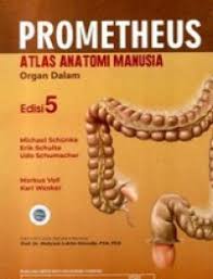 Prometheus Atlas Anatomi Manusia ; Organ Dalam