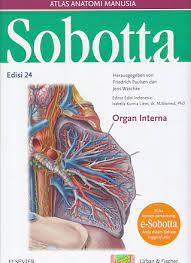 Sobotta ; Atlas Anatomi Manusia Organ Interna