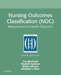 NURSING OUTCOMES CLASSIFICATION (NOC)