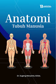 Fungsi Sistem Tubuh Manusia (1)