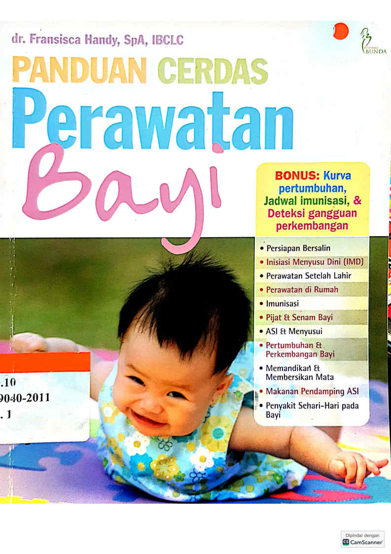 Panduan Cerdas Perawatan Bayi