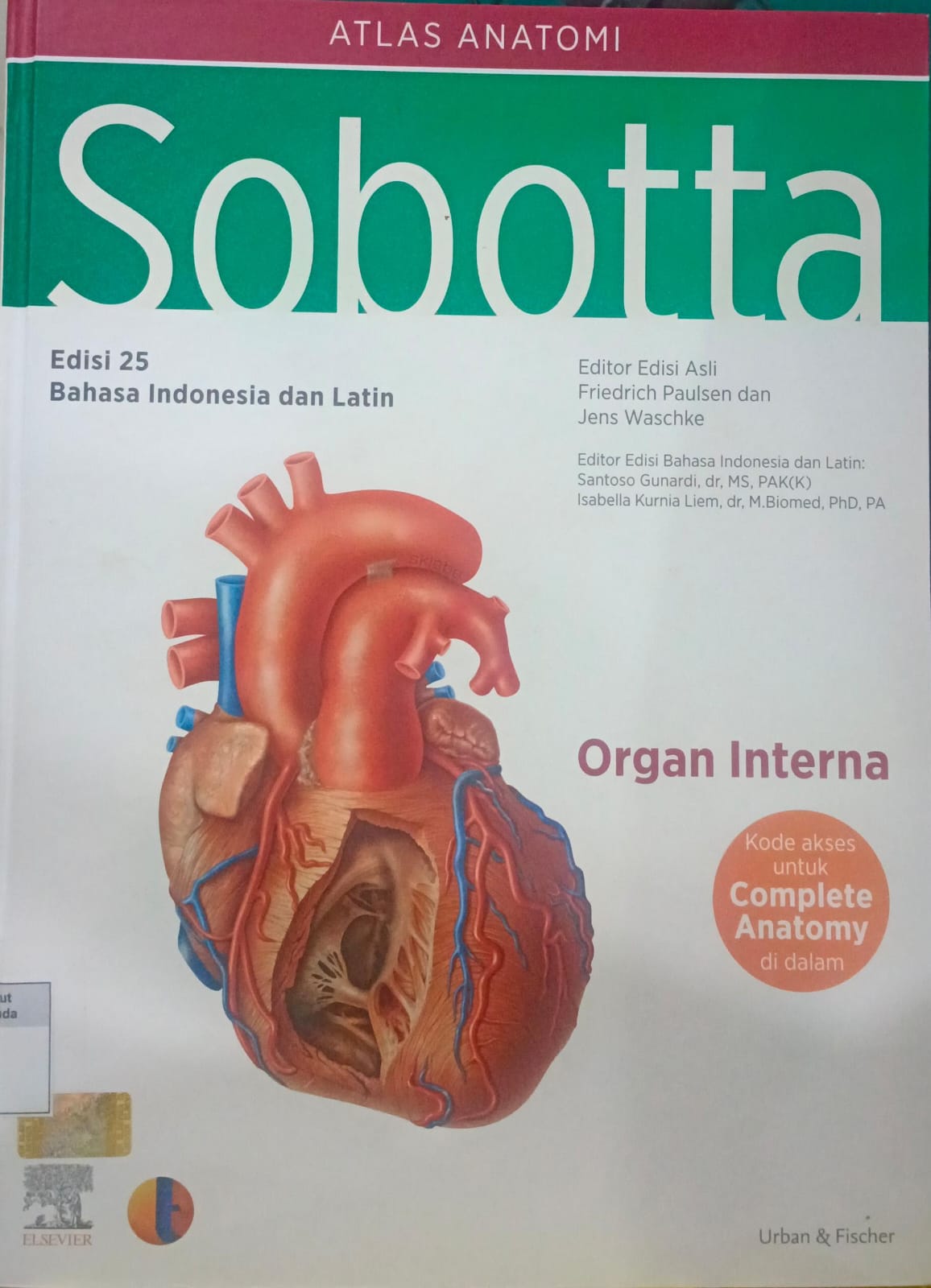 Atlas Anatomi Sobotta ; Organ interna