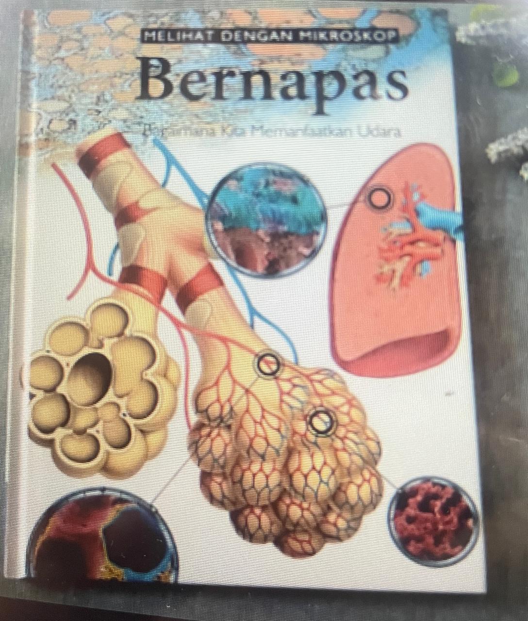 Melihat Dengan Mikroskop BERNAPAS Bagaimana Kita Memanfaatkan Udara (4)